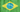 AlbertXNight Brasil
